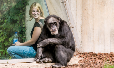 Im Menschen-Zoo: Besucher hinter Gittern