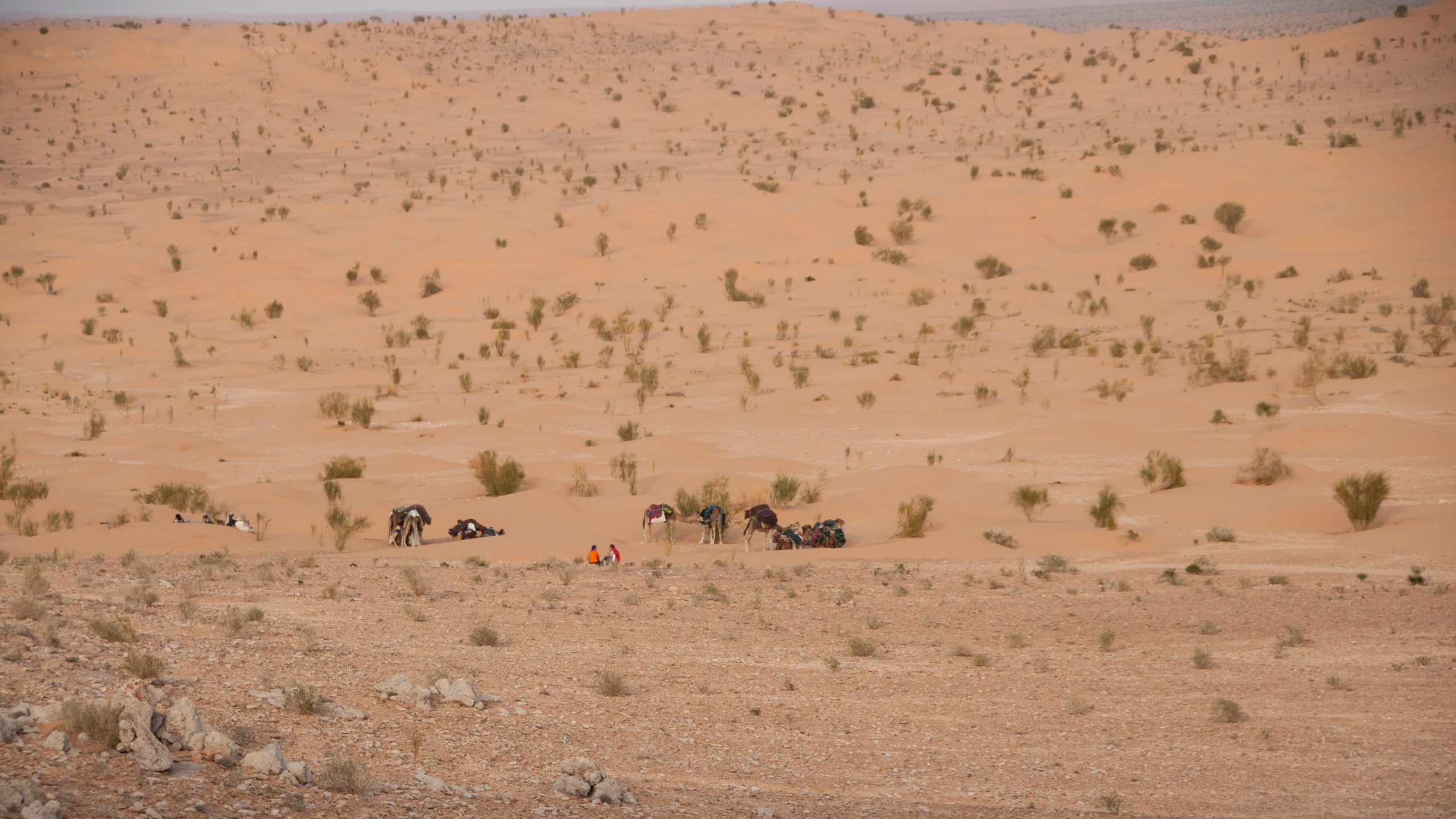 Sahara Tunesien Wüste